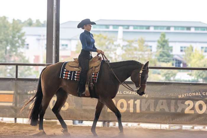 Madison Parduhn of Auburn Equestrian